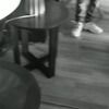 larabia23